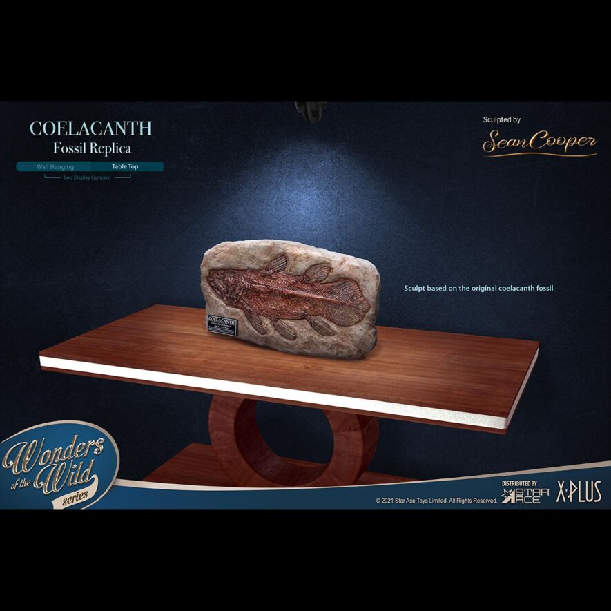 シーラカンス ポリレジンスタチュー デラックス版