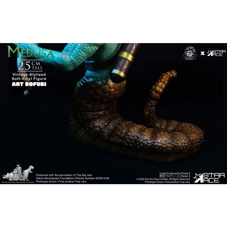 ☆メデューサ★ページ KARIUDO MEDUSA -メデューサ- ｜自宅で出来るリアル宝探し - HUNTERS
