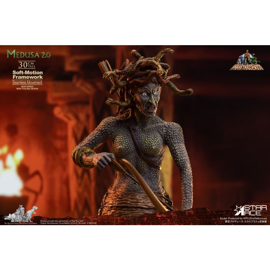 メデューサ ソフトモーション