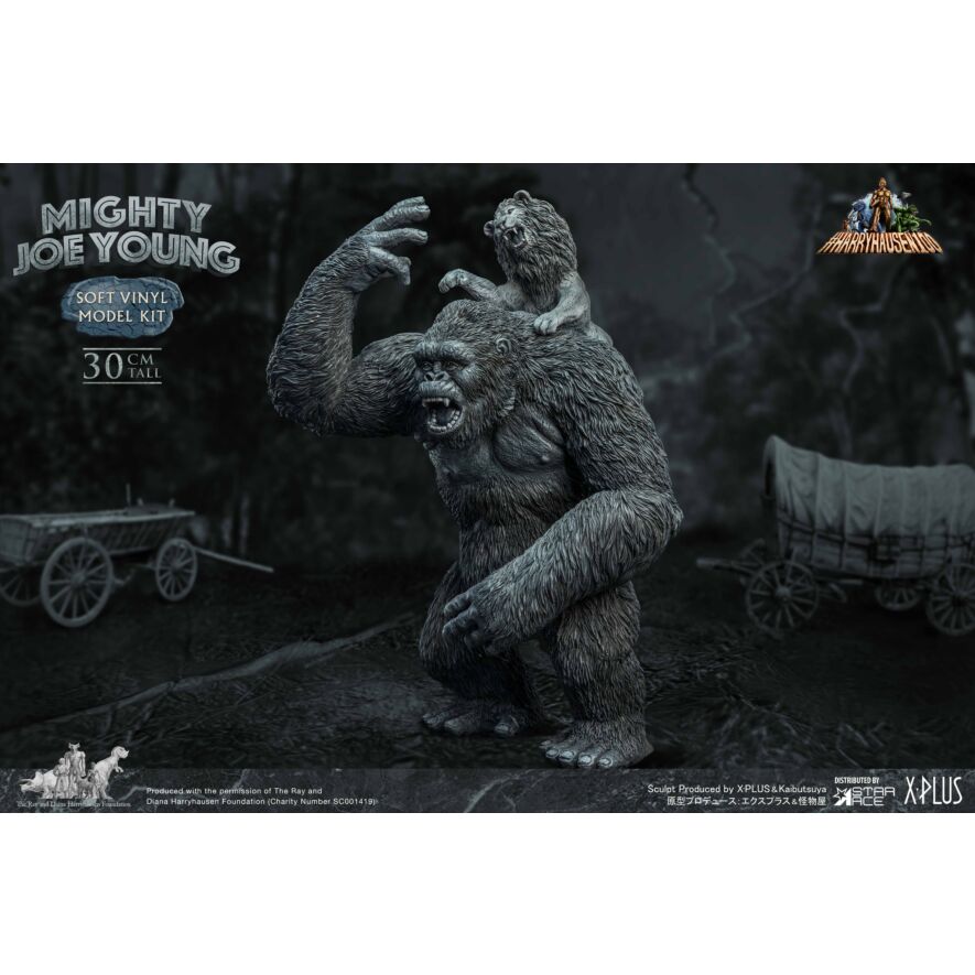 mono_mightyjoe_normal_6725_1.jpg