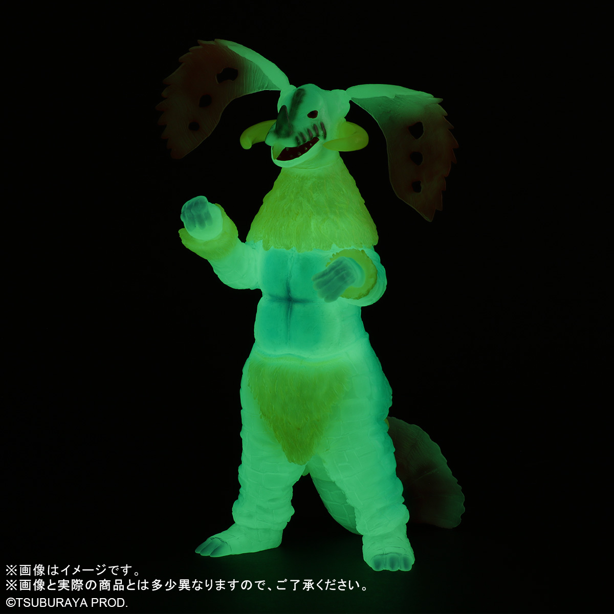 ワンダーフェスティバル2025夏 参加情報
