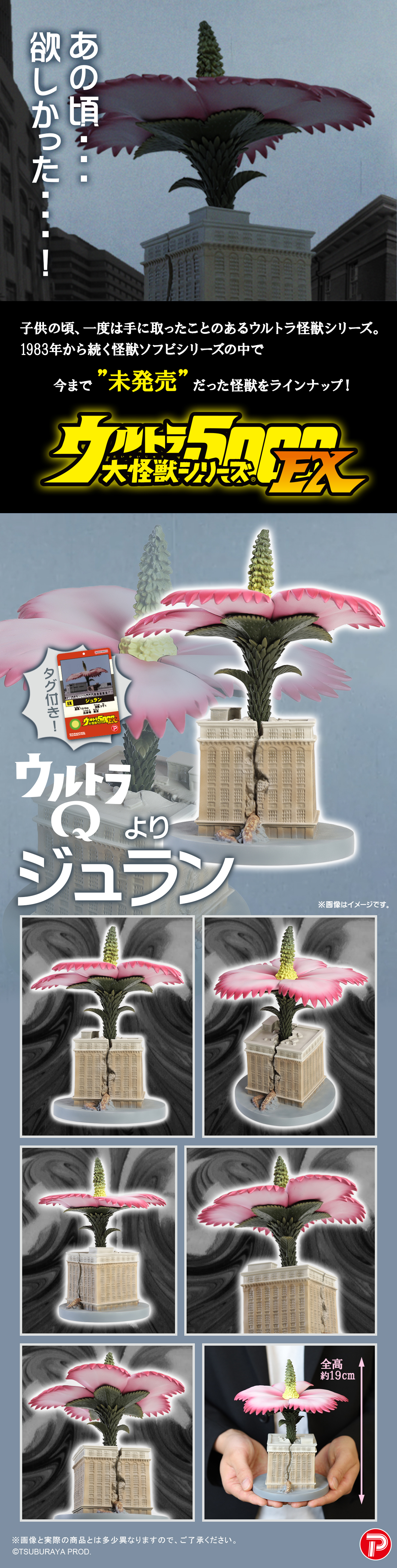 UDS5000_mammothflower_lp2.jpg